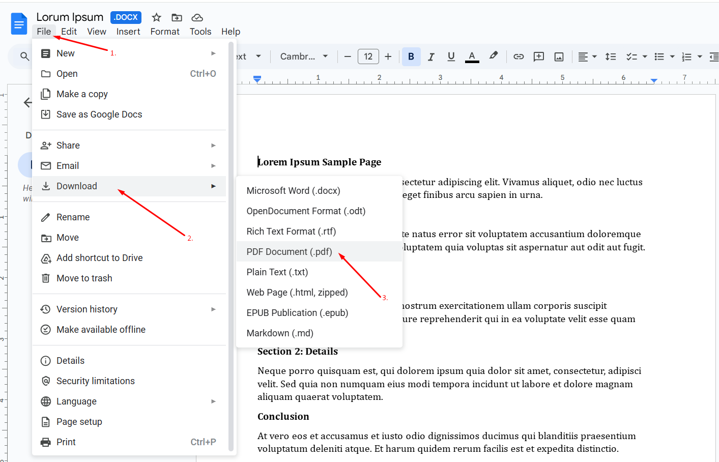 google docs option